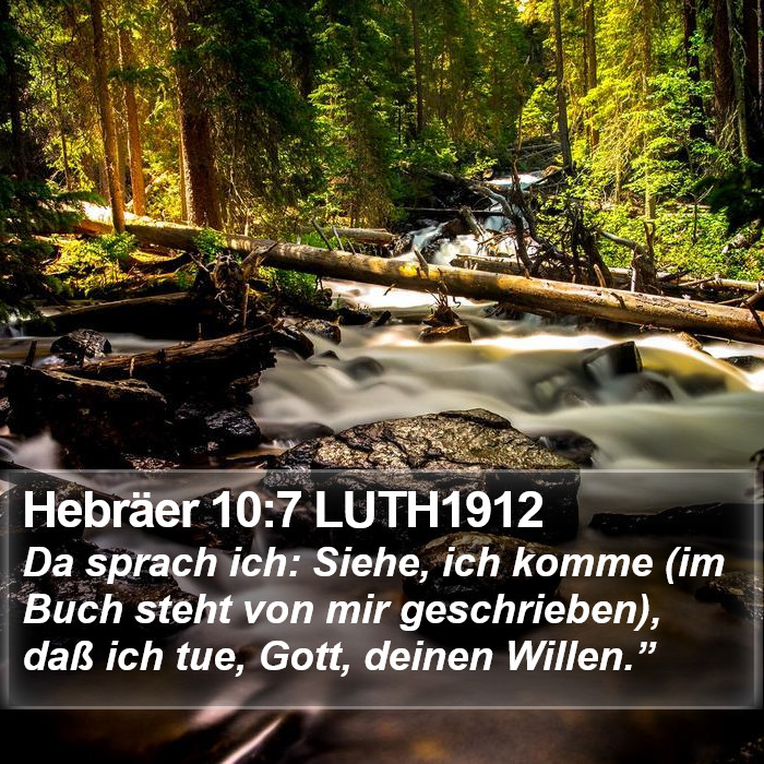 Hebräer 10:7 LUTH1912 Bible Study