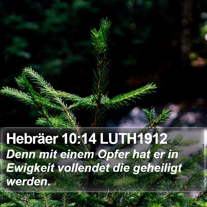 Hebräer 10:14 LUTH1912 Bible Study
