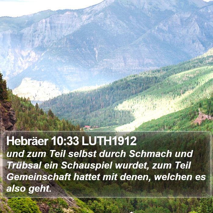 Hebräer 10:33 LUTH1912 Bible Study