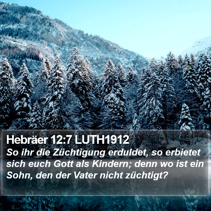 Hebräer 12:7 LUTH1912 Bible Study