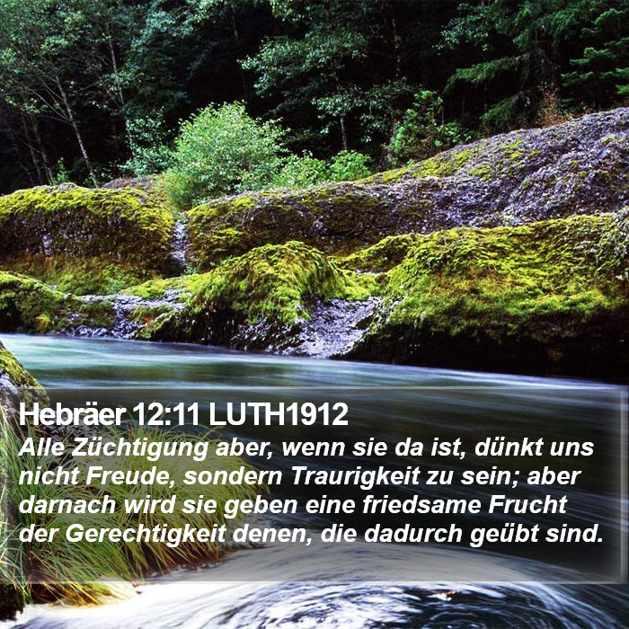 Hebräer 12:11 LUTH1912 Bible Study