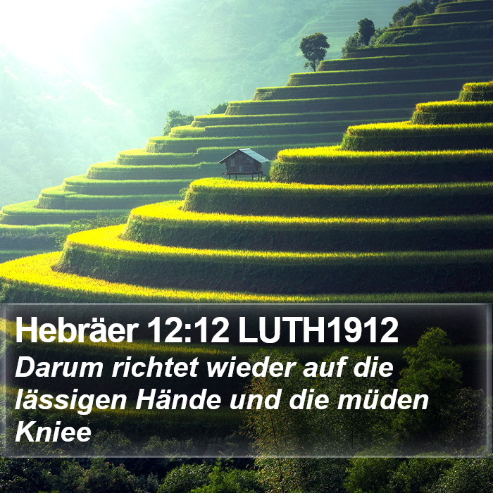 Hebräer 12:12 LUTH1912 Bible Study