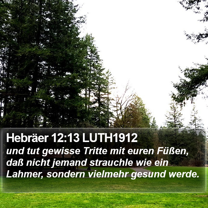 Hebräer 12:13 LUTH1912 Bible Study