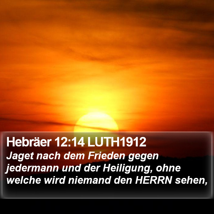 Hebräer 12:14 LUTH1912 Bible Study