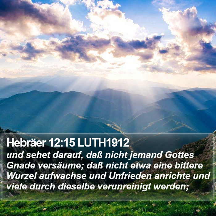 Hebräer 12:15 LUTH1912 Bible Study