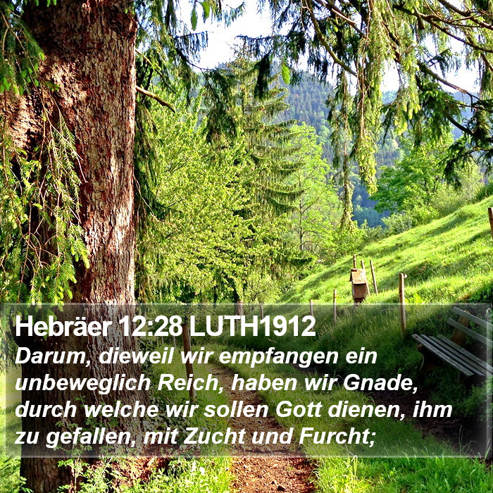 Hebräer 12:28 LUTH1912 Bible Study