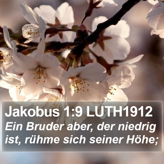 Jakobus 1:9 LUTH1912 Bible Study