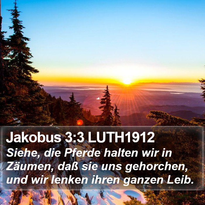 Jakobus 3:3 LUTH1912 Bible Study