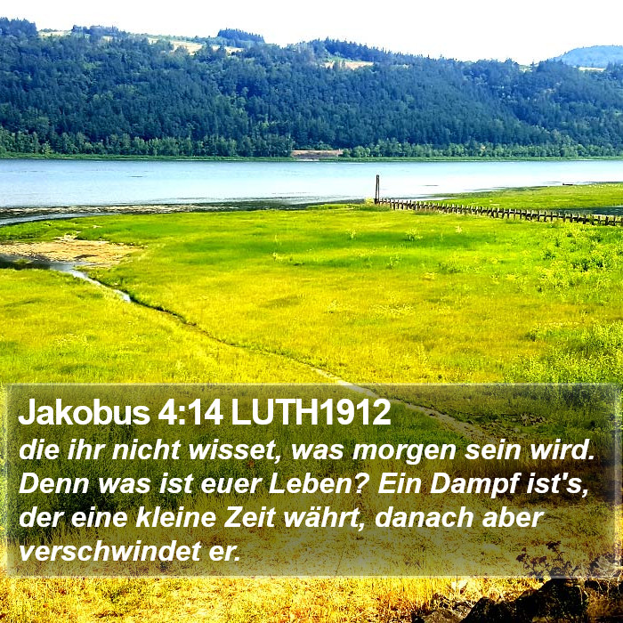 Jakobus 4:14 LUTH1912 Bible Study