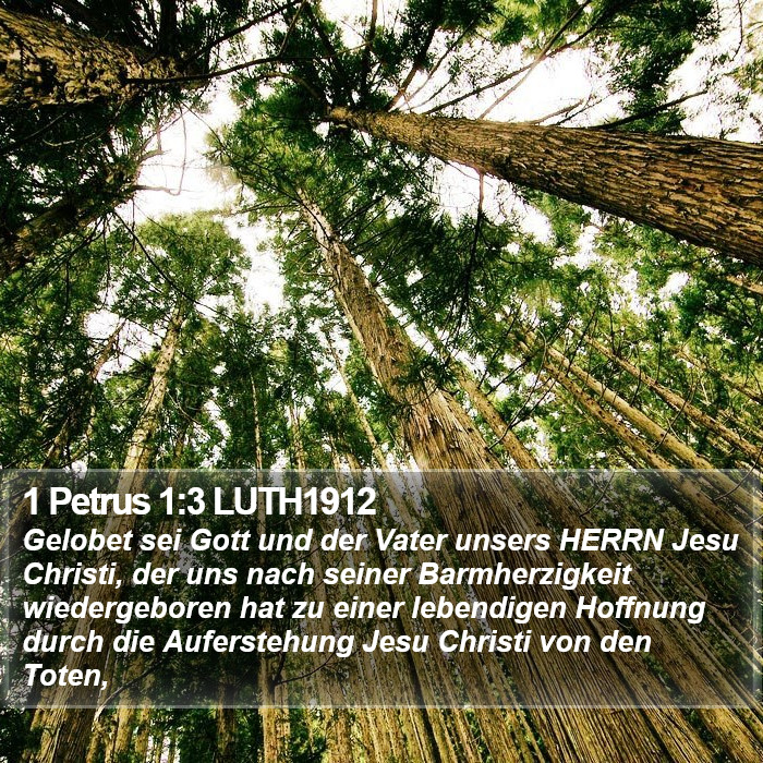 1 Petrus 1:3 LUTH1912 Bible Study