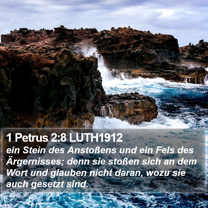 1 Petrus 2:8 LUTH1912 Bible Study