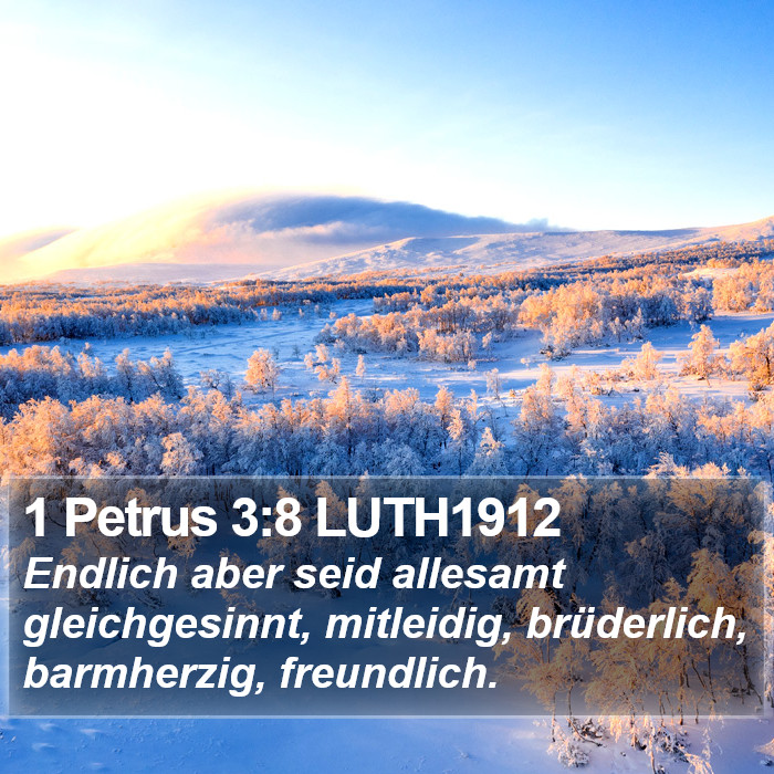 1 Petrus 3:8 LUTH1912 Bible Study