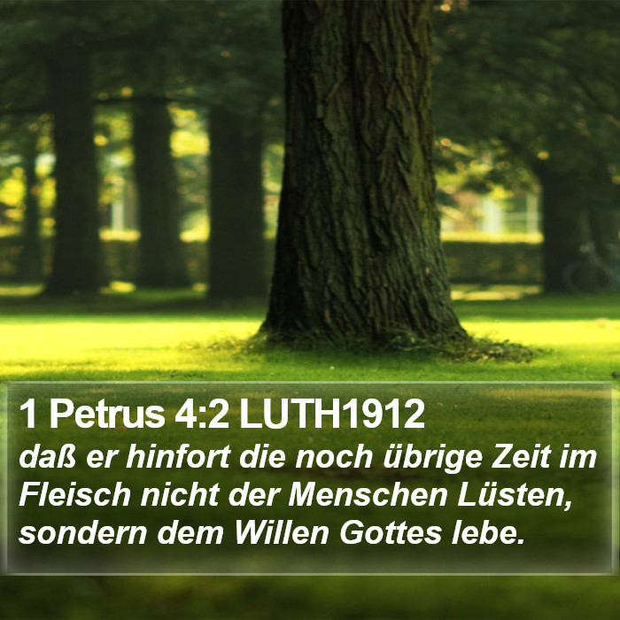 1 Petrus 4:2 LUTH1912 Bible Study