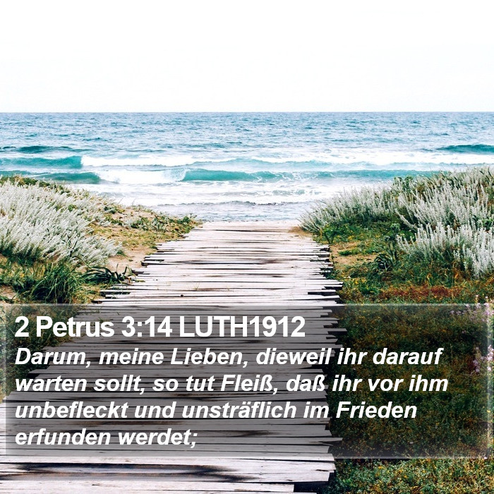 2 Petrus 3:14 LUTH1912 Bible Study