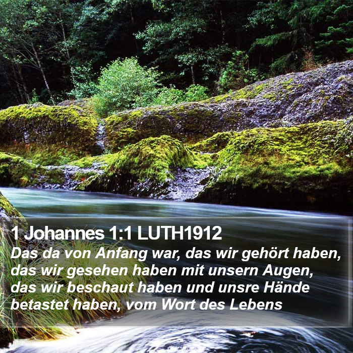 1 Johannes 1:1 LUTH1912 Bible Study