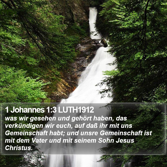 1 Johannes 1:3 LUTH1912 Bible Study