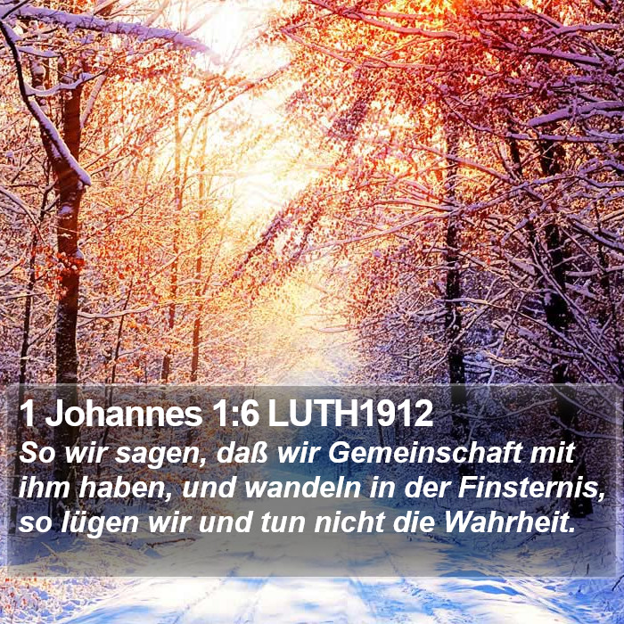 1 Johannes 1:6 LUTH1912 Bible Study