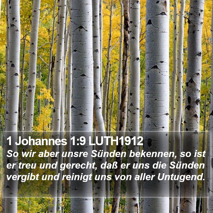 1 Johannes 1:9 LUTH1912 Bible Study