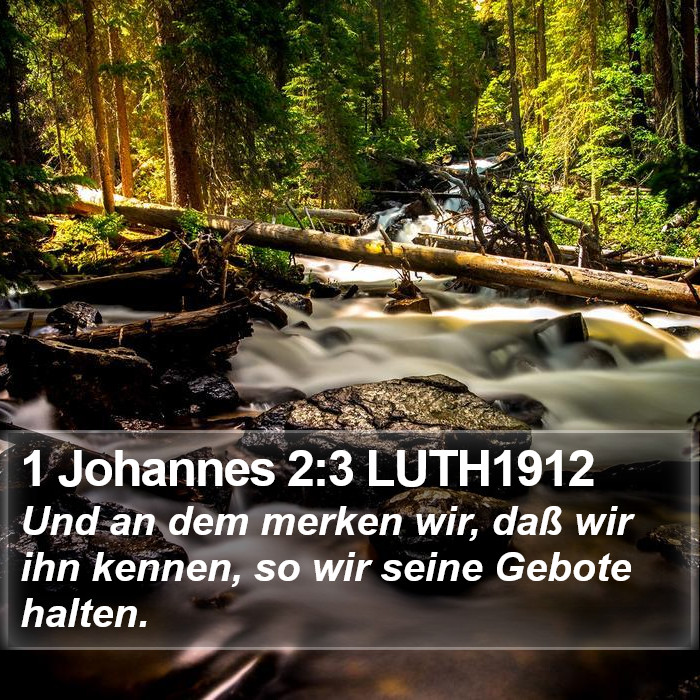 1 Johannes 2:3 LUTH1912 Bible Study