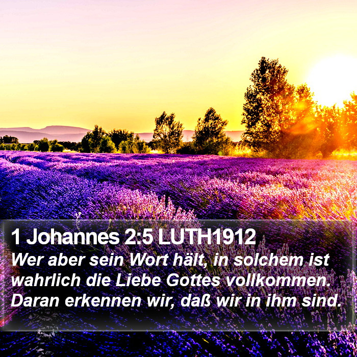 1 Johannes 2:5 LUTH1912 Bible Study