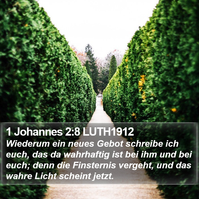 1 Johannes 2:8 LUTH1912 Bible Study