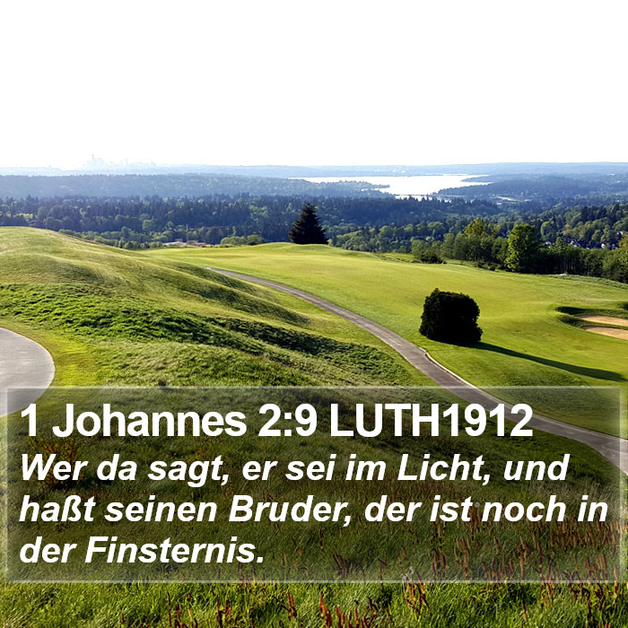 1 Johannes 2:9 LUTH1912 Bible Study