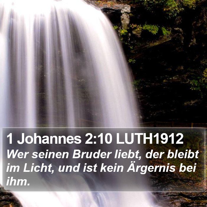 1 Johannes 2:10 LUTH1912 Bible Study
