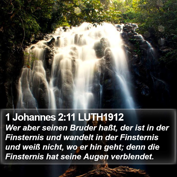 1 Johannes 2:11 LUTH1912 Bible Study
