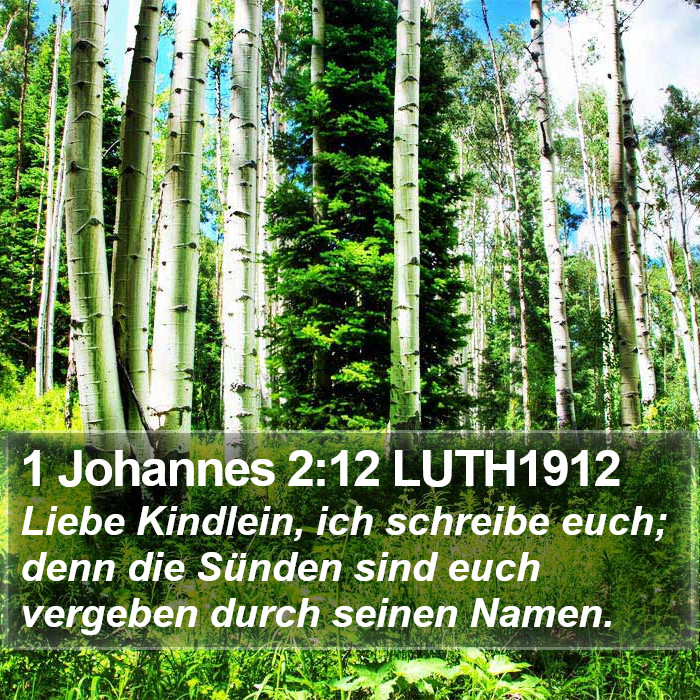 1 Johannes 2:12 LUTH1912 Bible Study