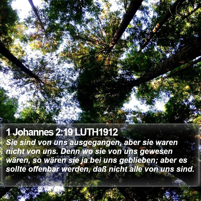 1 Johannes 2:19 LUTH1912 Bible Study