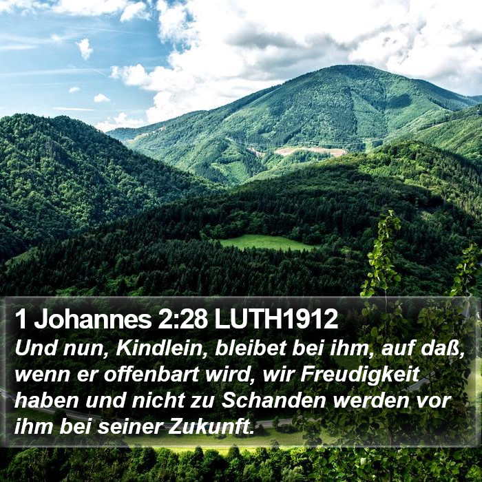 1 Johannes 2:28 LUTH1912 Bible Study