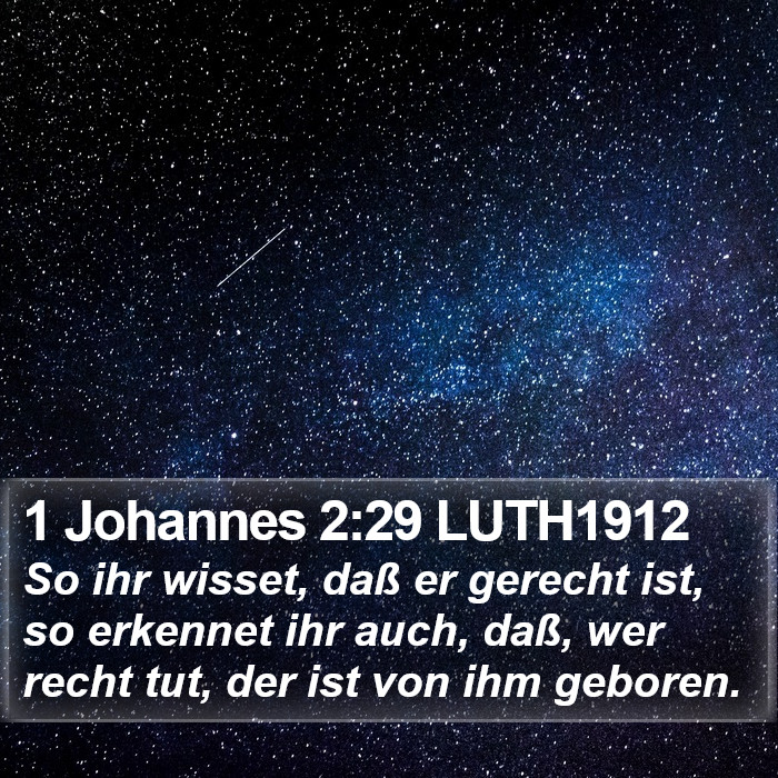1 Johannes 2:29 LUTH1912 Bible Study