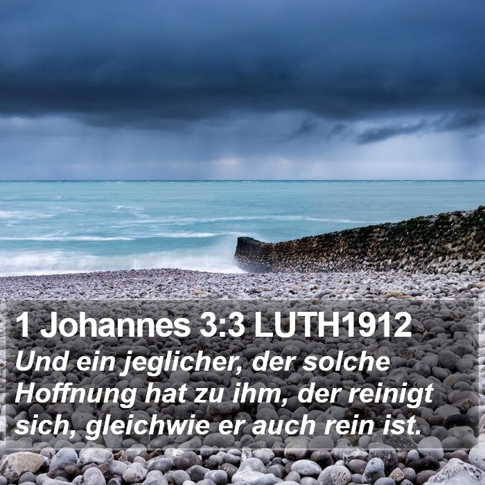 1 Johannes 3:3 LUTH1912 Bible Study