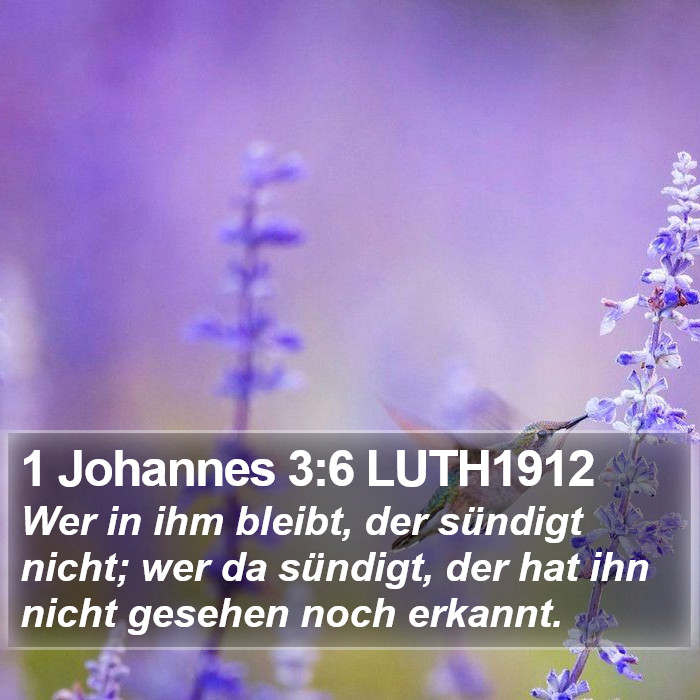 1 Johannes 3:6 LUTH1912 Bible Study