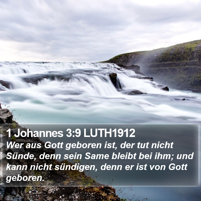1 Johannes 3:9 LUTH1912 Bible Study