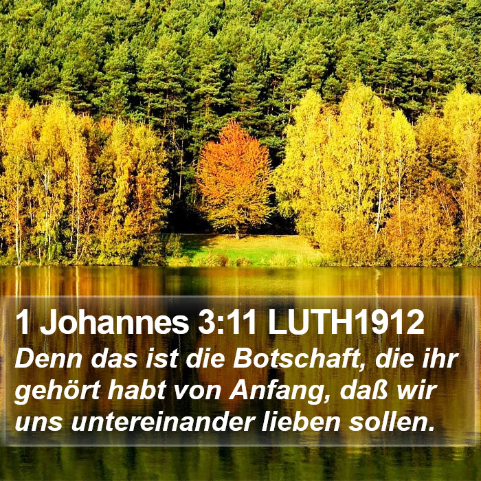 1 Johannes 3:11 LUTH1912 Bible Study