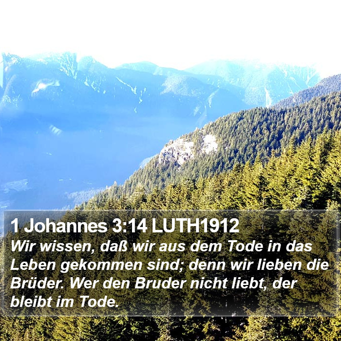 1 Johannes 3:14 LUTH1912 Bible Study