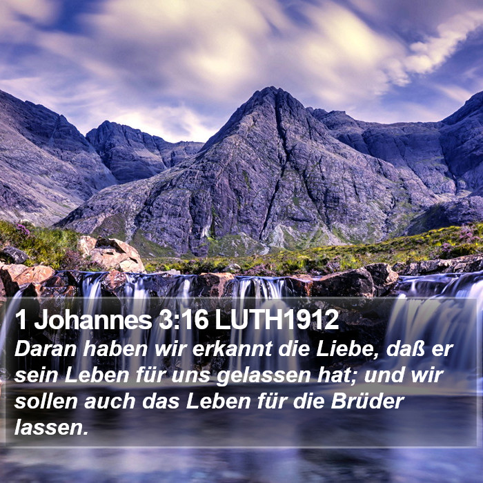 1 Johannes 3:16 LUTH1912 Bible Study
