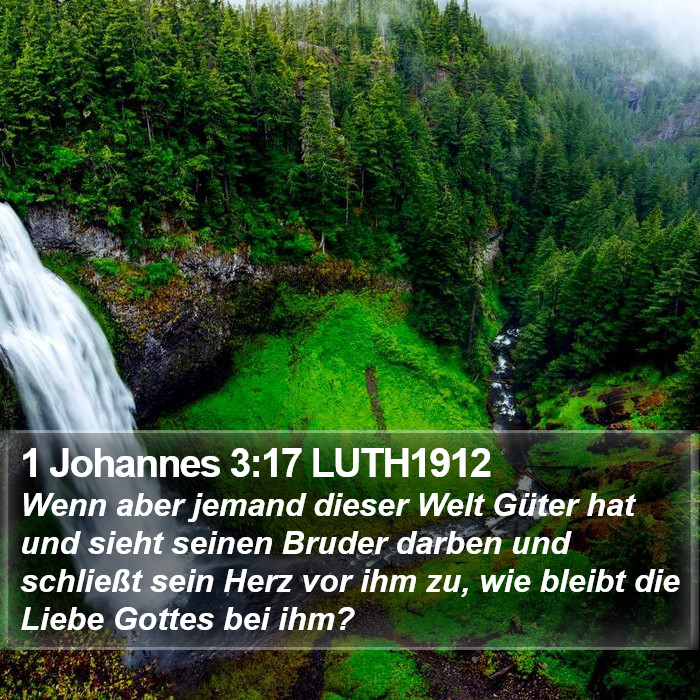 1 Johannes 3:17 LUTH1912 Bible Study