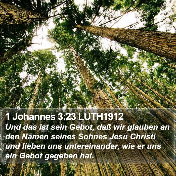 1 Johannes 3:23 LUTH1912 Bible Study