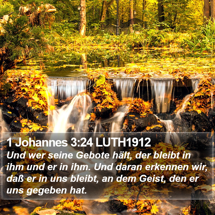 1 Johannes 3:24 LUTH1912 Bible Study