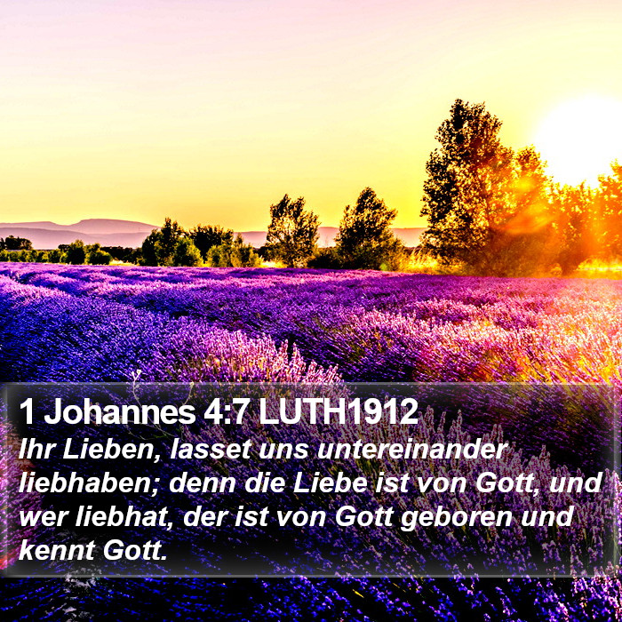 1 Johannes 4:7 LUTH1912 Bible Study