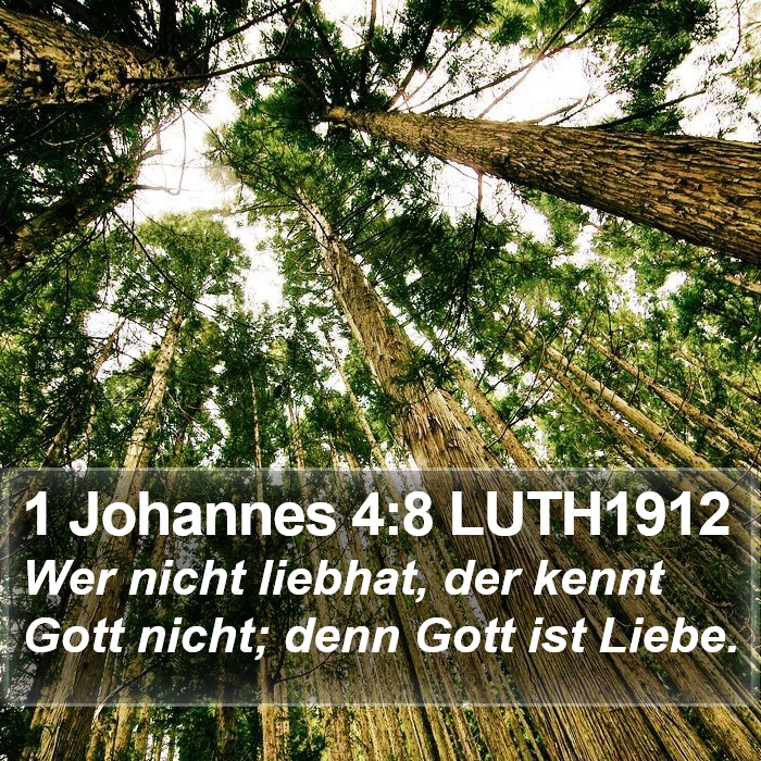 1 Johannes 4:8 LUTH1912 Bible Study