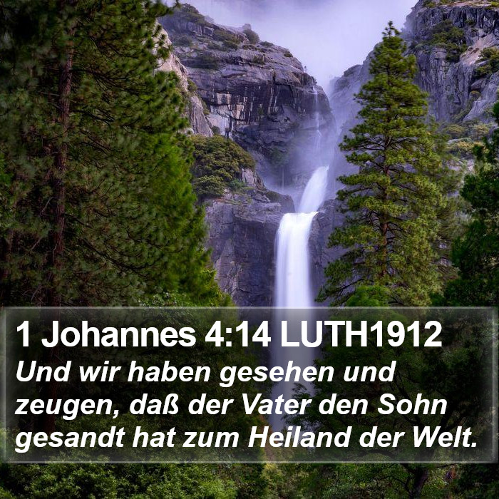 1 Johannes 4:14 LUTH1912 Bible Study