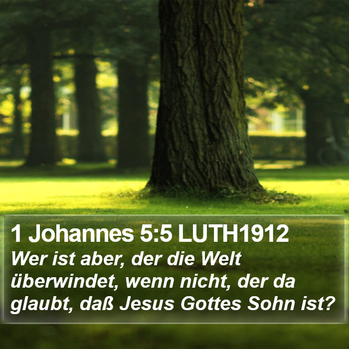 1 Johannes 5:5 LUTH1912 Bible Study