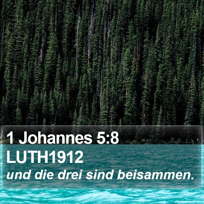 1 Johannes 5:8 LUTH1912 Bible Study