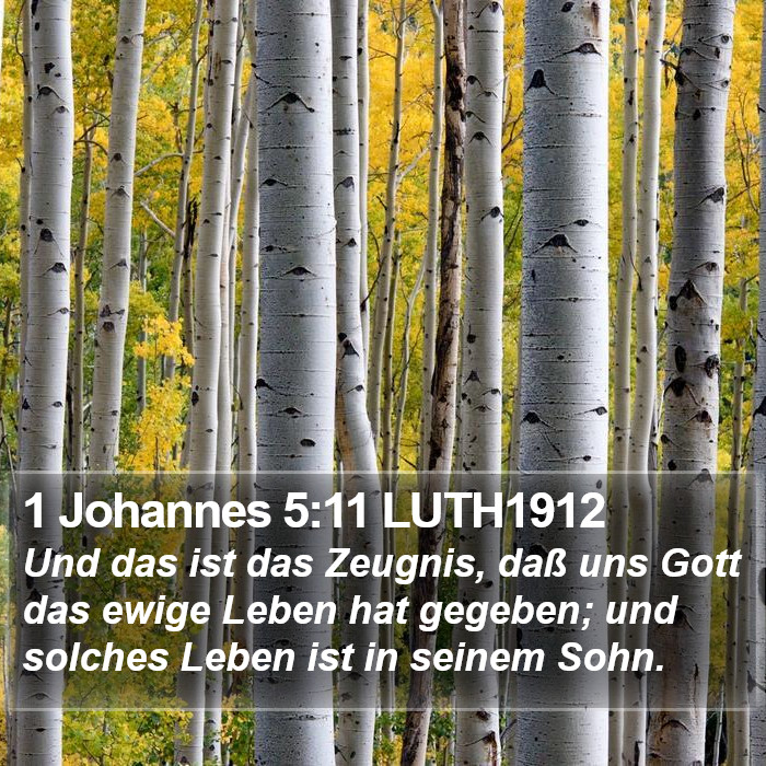 1 Johannes 5:11 LUTH1912 Bible Study