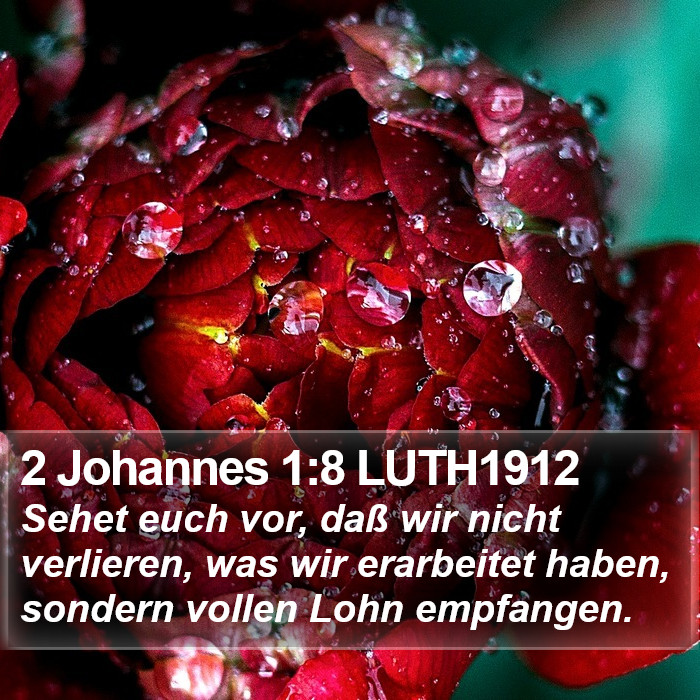 2 Johannes 1:8 LUTH1912 Bible Study