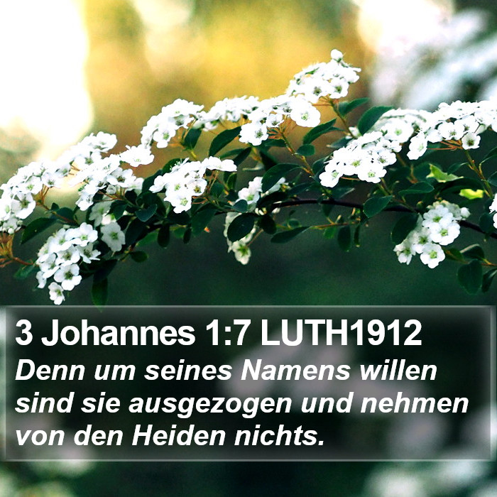 3 Johannes 1:7 LUTH1912 Bible Study