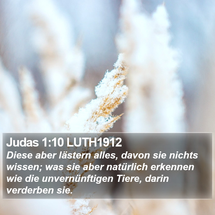 Judas 1:10 LUTH1912 Bible Study